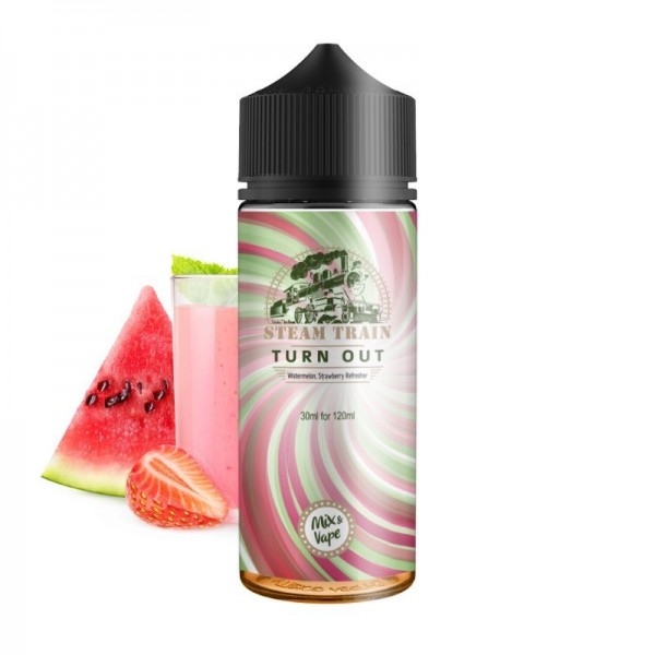 STEAMTRAIN TURN OUT FLAVOUR SHOT 120ml
